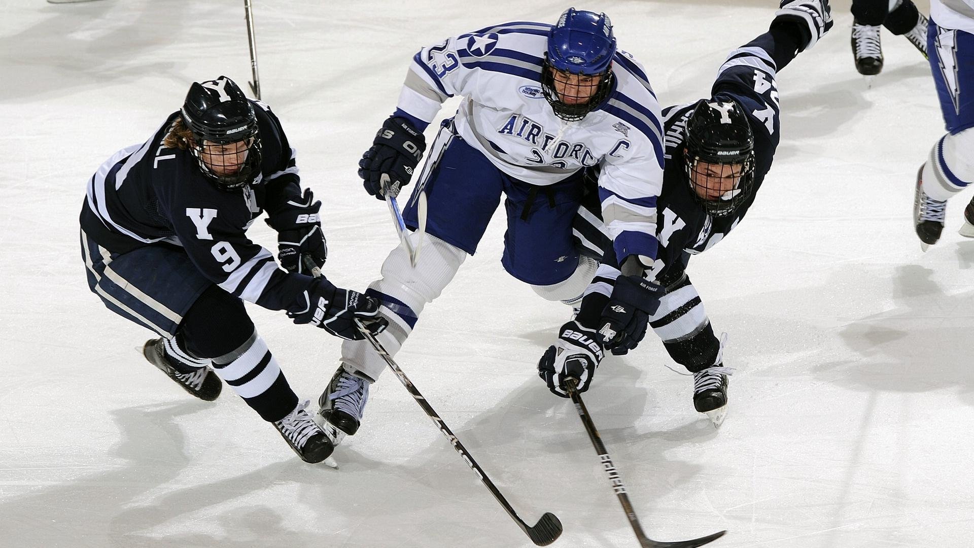体育场馆安全管理标准,体育场馆管理规定